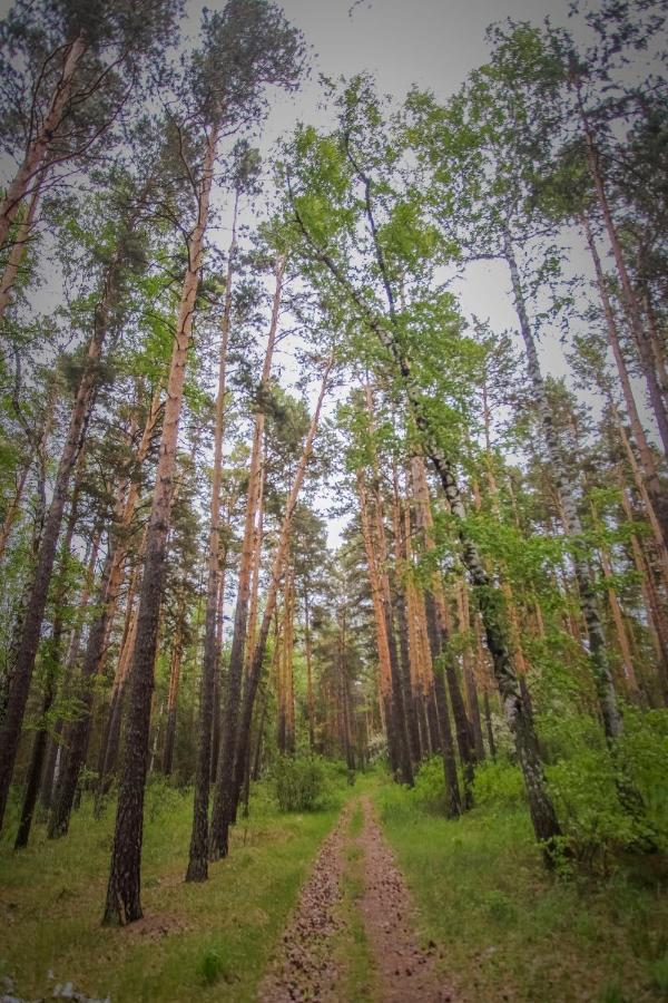 Hotel Nurlytau Боровое Экстерьер фото